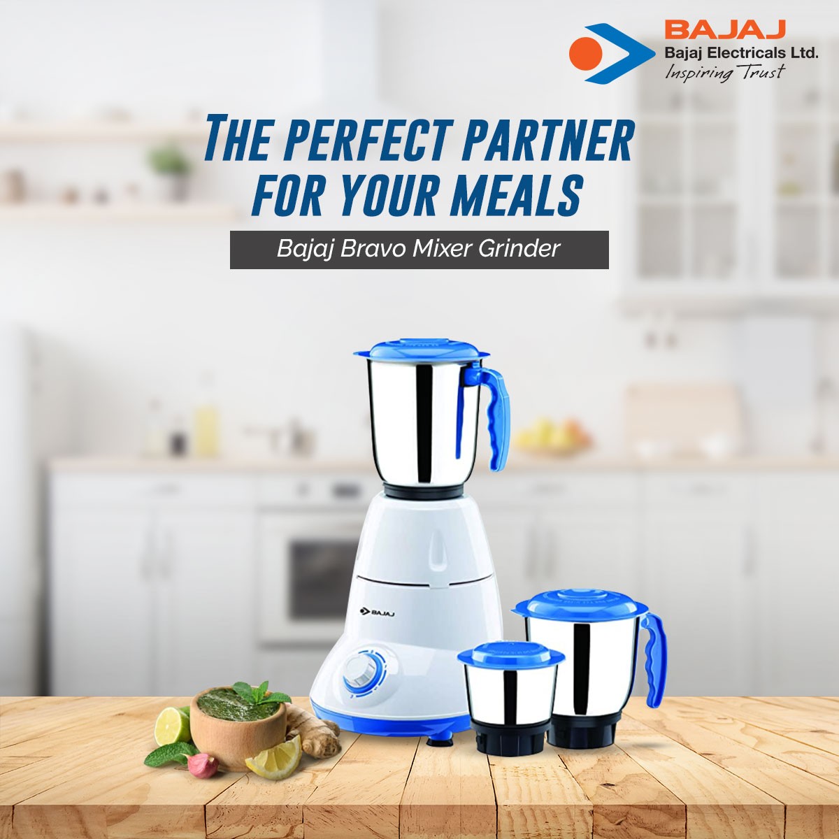 bajaj-bravo-dlx-indian-mixer-grinder-500w-stainless-steel-jars-indian-mixer-grinder-spice-coffee-grinder-110v-for-use-in-canada-usa2