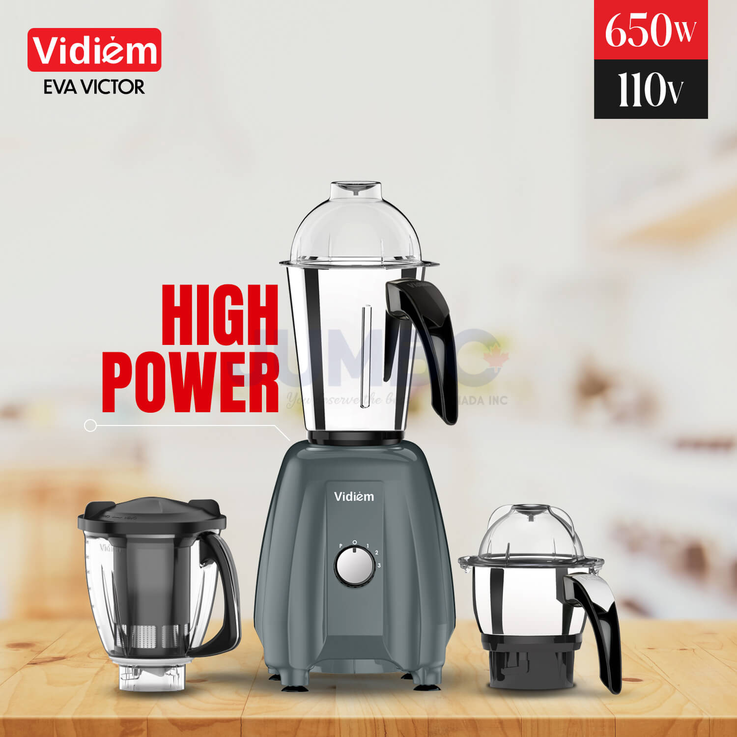vidiem-eva-victor-650w-110v-stainless-steel-jars-indian-mixer-grinder-spice-coffee-grinder-with-almond-nut-milk-juice-extractor-for-use-in-canada-usa7