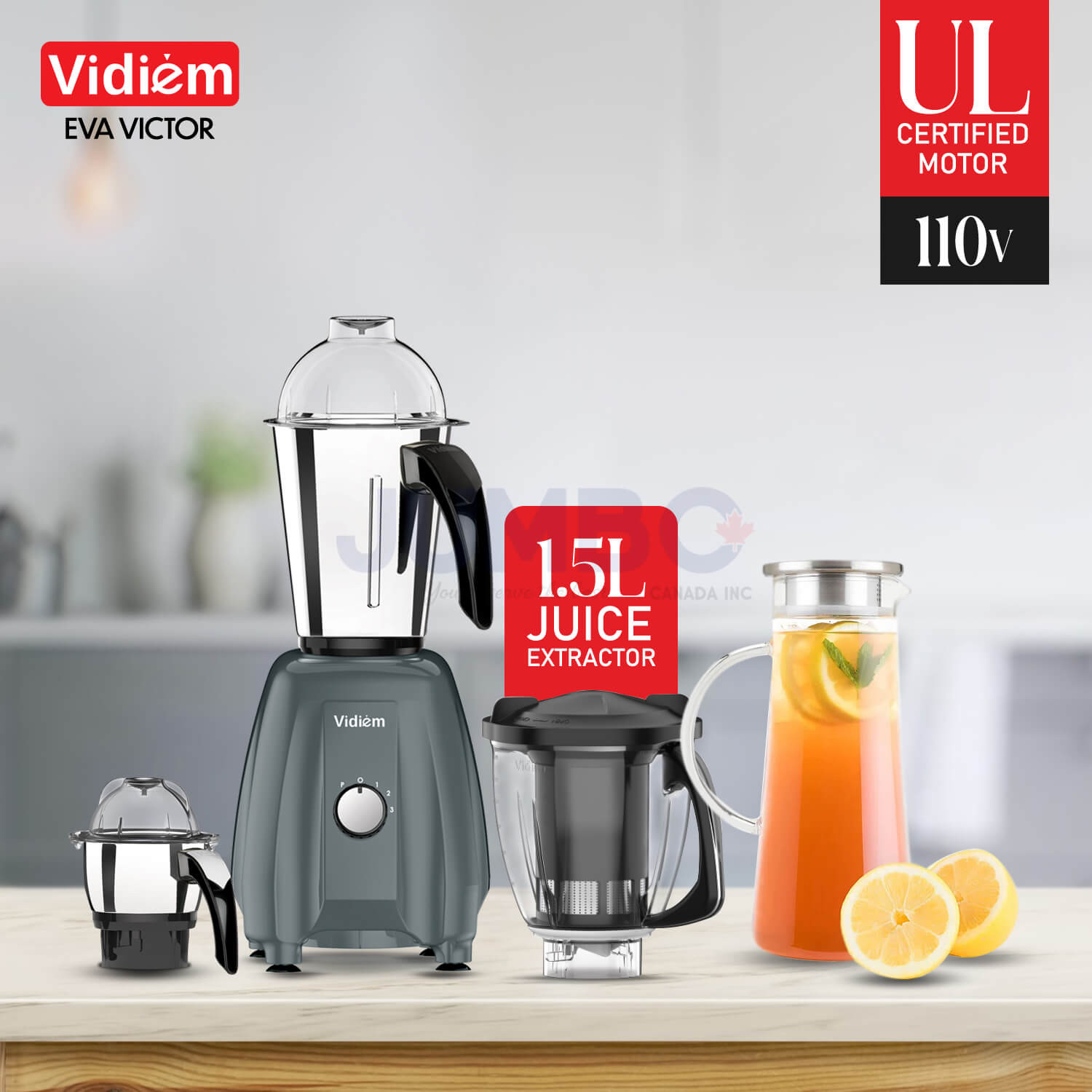vidiem-eva-victor-650w-110v-stainless-steel-jars-indian-mixer-grinder-spice-coffee-grinder-with-almond-nut-milk-juice-extractor-for-use-in-canada-usa6