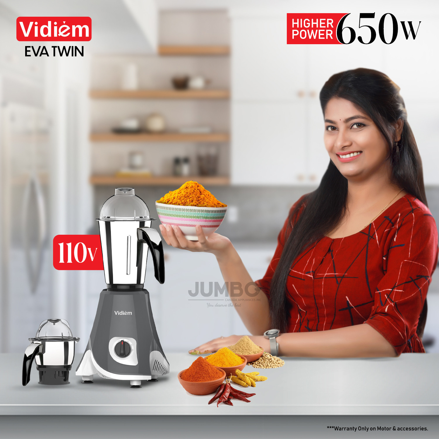 vidiem-eva-twin-650w-110v-stainless-steel-jars-indian-mixer-grinder-spice-coffee-grinder-for-use-in-canada-usa5