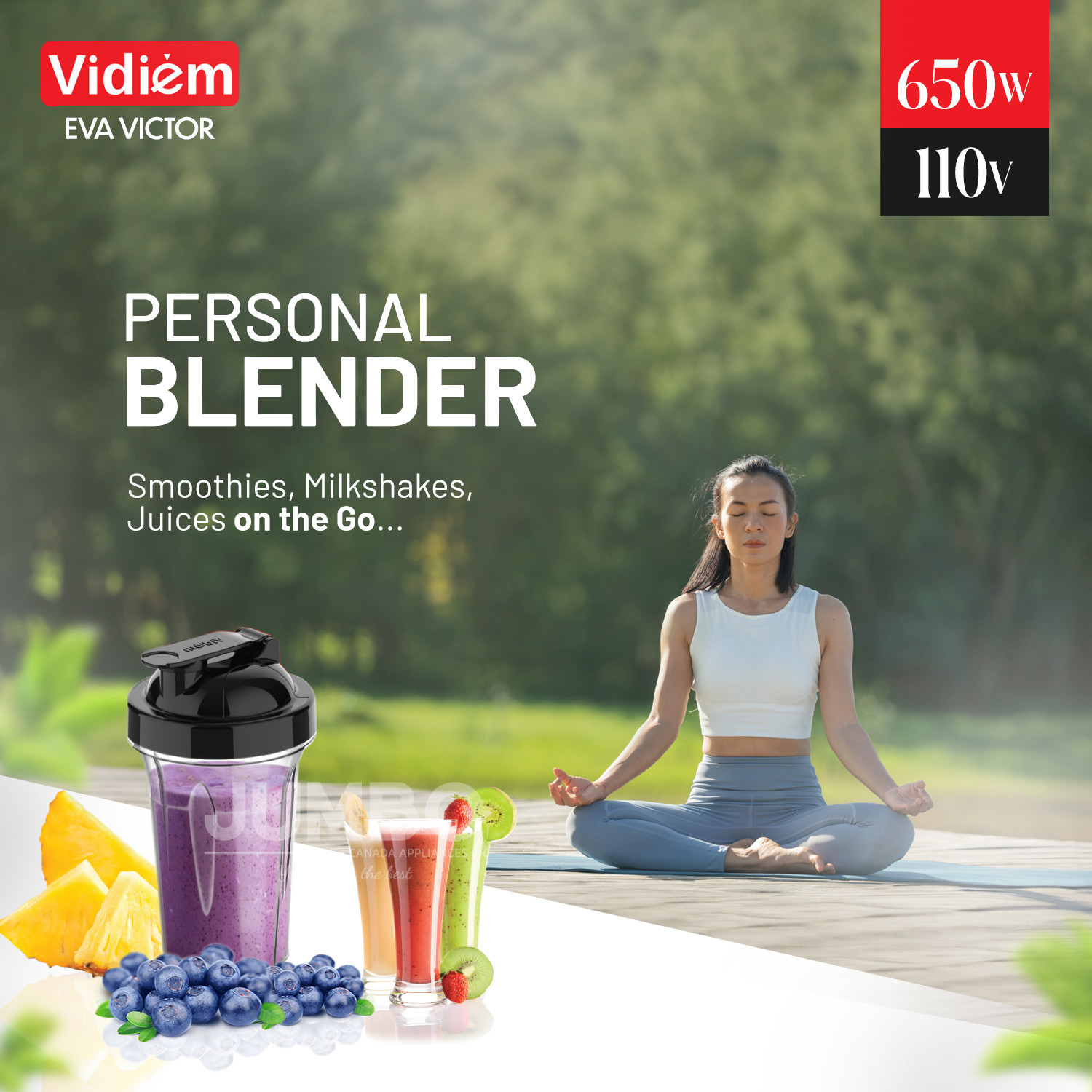 vidiem-eva-victor-pro-650w-110v-indian-mixer-grinder-ss-jars-250ml-spice-personal-coffee-herbs-grinder-with-500ml-personal-juices-shakes-smoothie-blender-made-for-canada-usa3