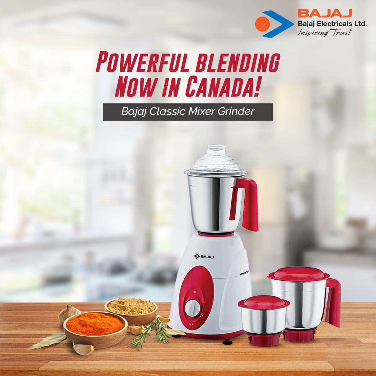 bajaj-classic-indian-mixer-grinder-600w-stainless-steel-jars-indian-mixer-grinder-spice-coffee-grinder-110v-for-use-in-canada-usa2